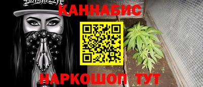 шишки Бийск