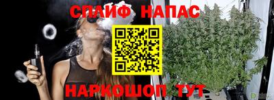 шишки Бийск