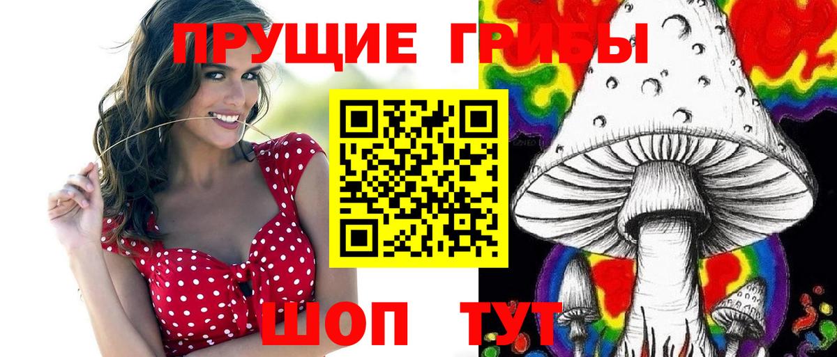 Галлюциногенные грибы Cubensis Кашира