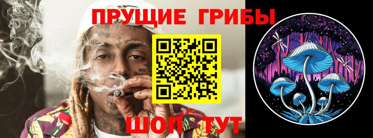 Кашира  Галлюциногенные грибы мицелий  Вход с VPN  Галлюциногенные грибы мицелий 